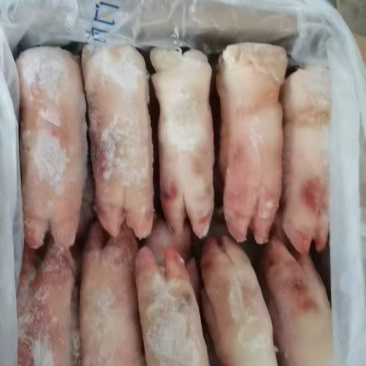 大红门推广蹄19-22的有货14吨