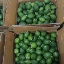 广东香水柠檬
