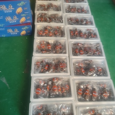 即食海参