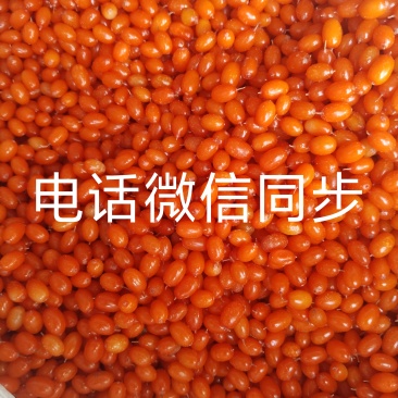 最后三千多斤要的速度联系