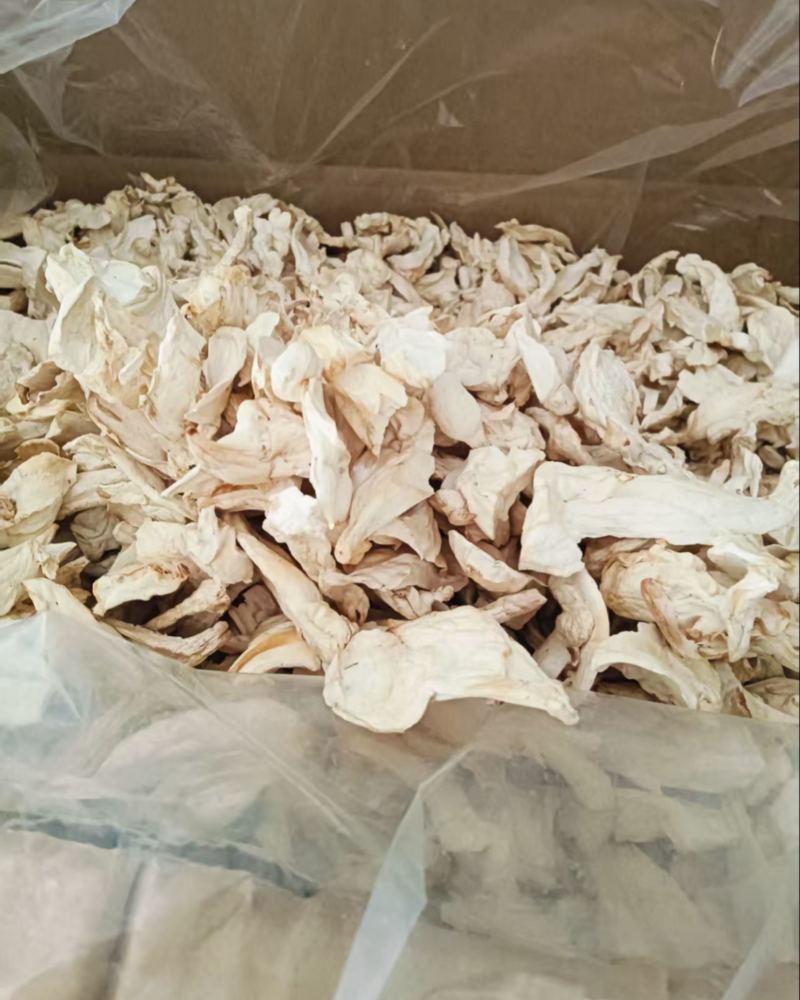 产地直销杏鲍菇干货