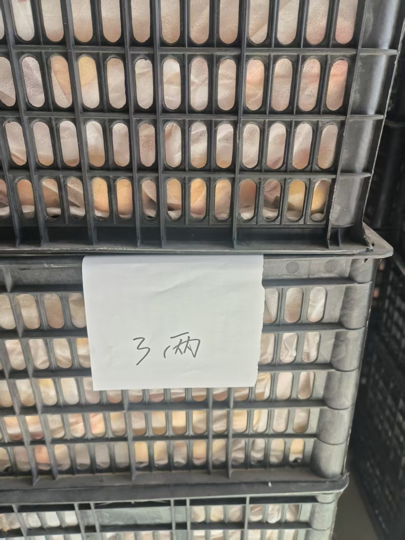 佛见喜梨，榨汁用