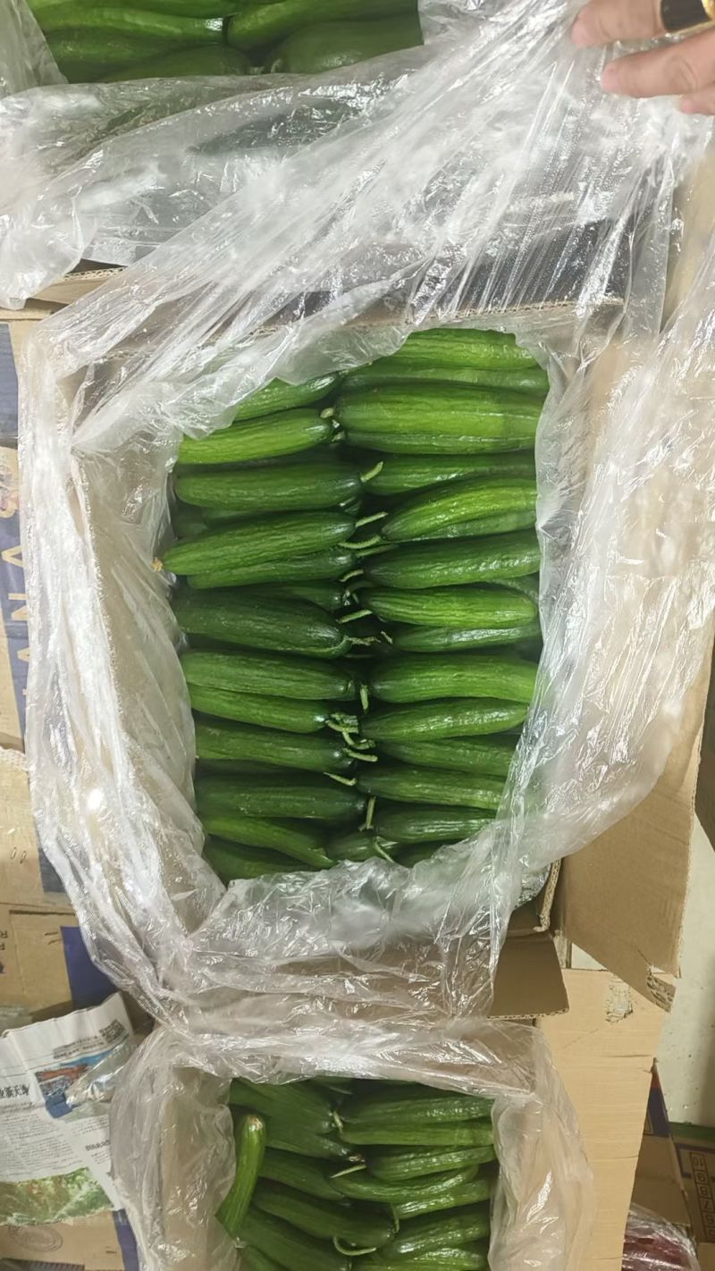 小黄瓜