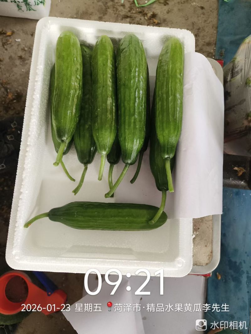 小黄瓜