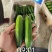 小黄瓜