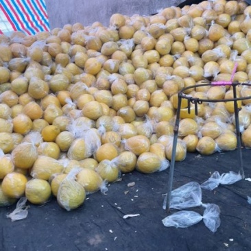 自己种的江永香柚，还有20000斤，一块一斤批发