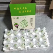 隰县玉露香梨