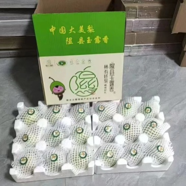 隰县玉露香梨