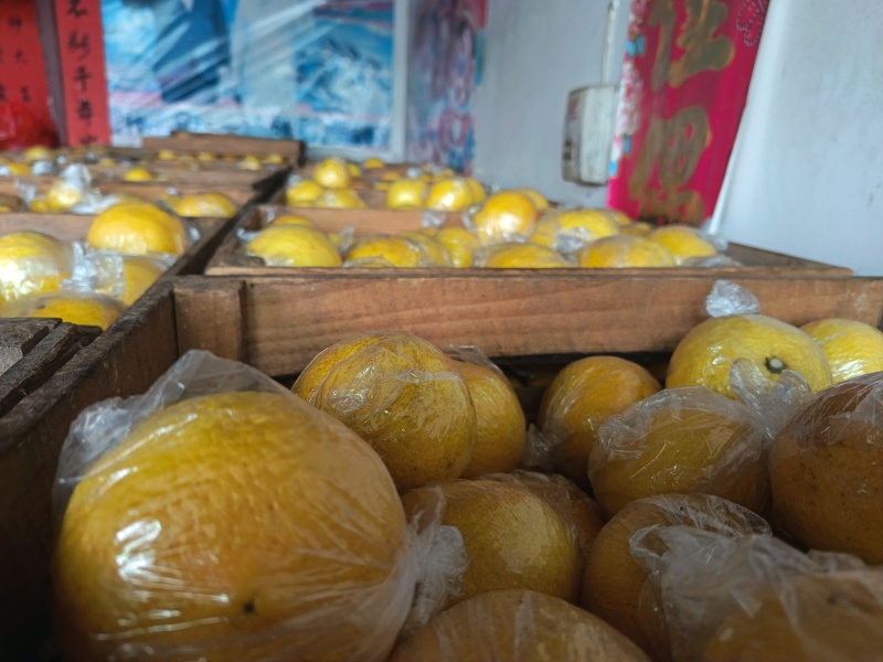 湖南怀化岩垅黄金贡柚