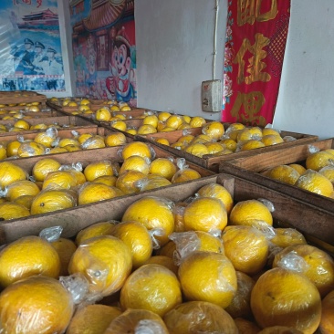湖南怀化岩垅黄金贡柚