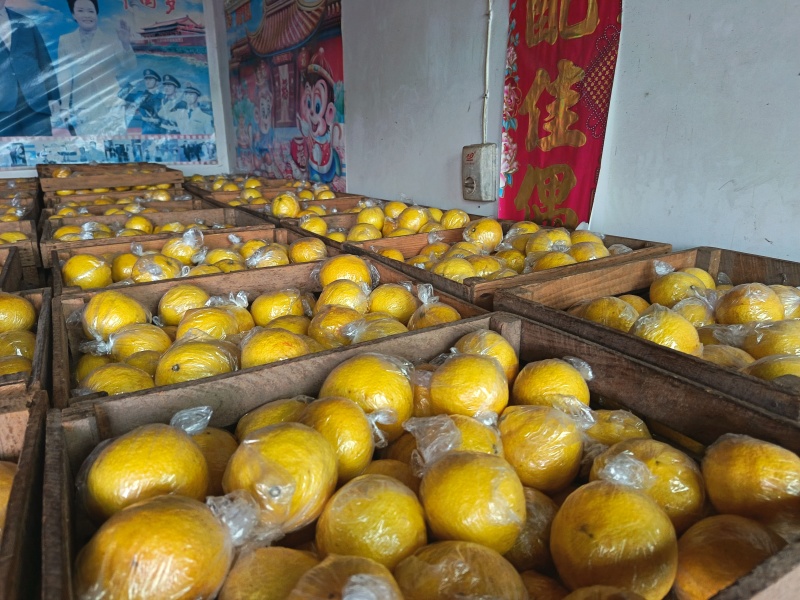 湖南怀化岩垅黄金贡柚