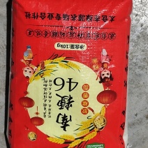 江苏南梗46大米***