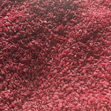山茱萸肉
