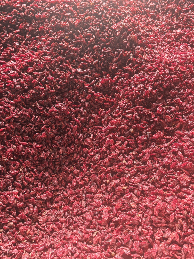 山茱萸肉