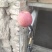 陕西红富士