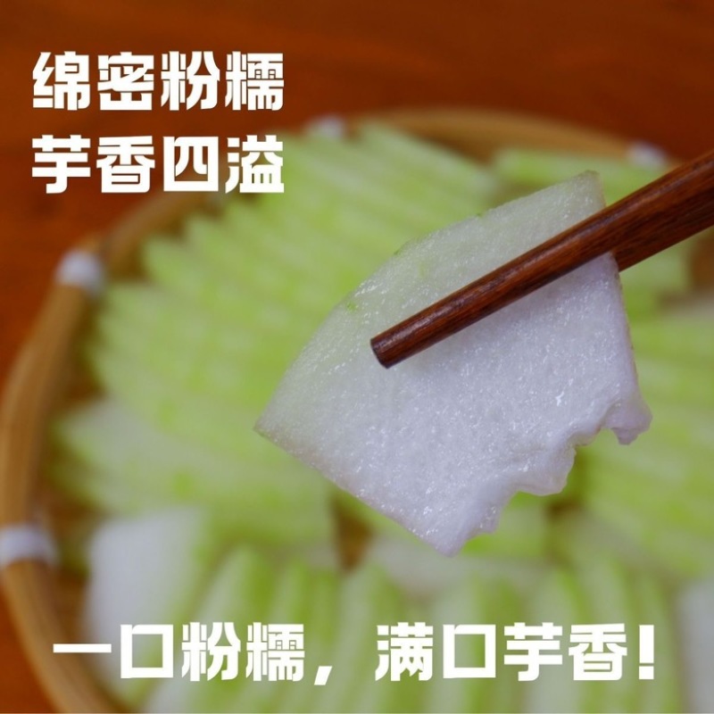 南宁武鸣香芋小冬瓜
