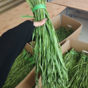 贡菜干
