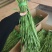 贡菜干