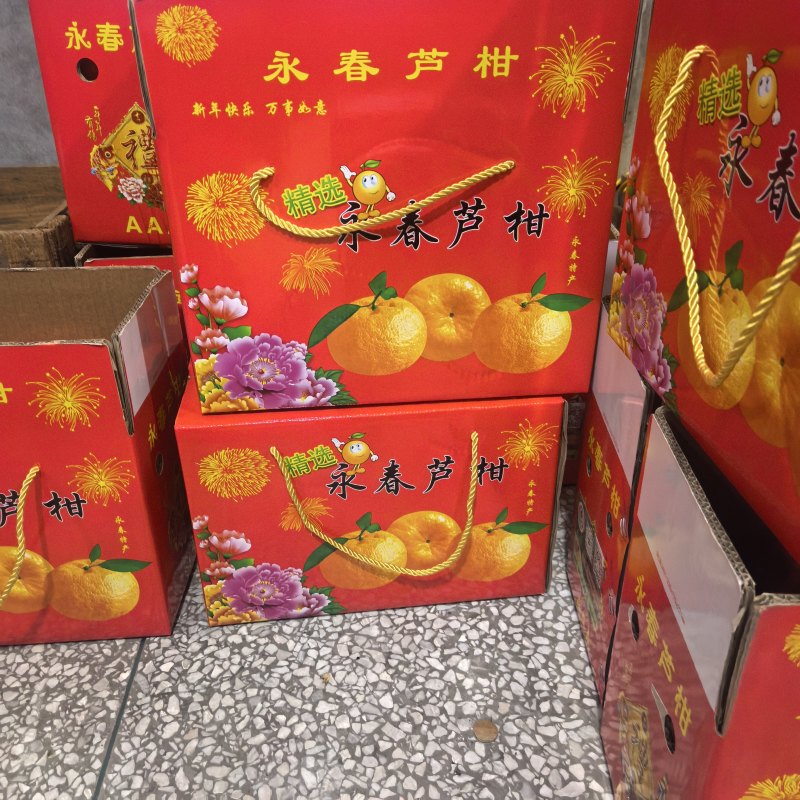 永春正宗芦柑