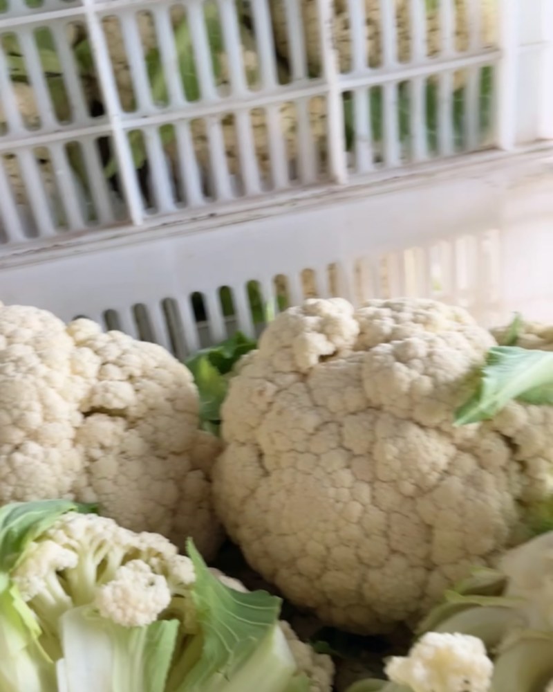 大棚有机花