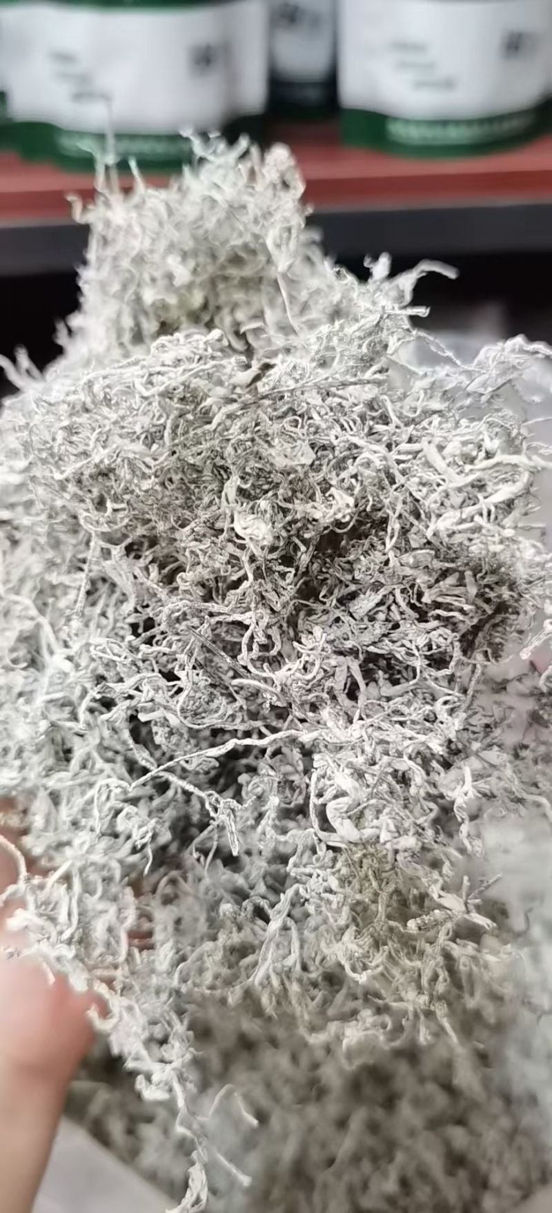 湖北藤茶