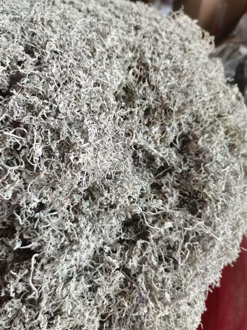 湖北藤茶