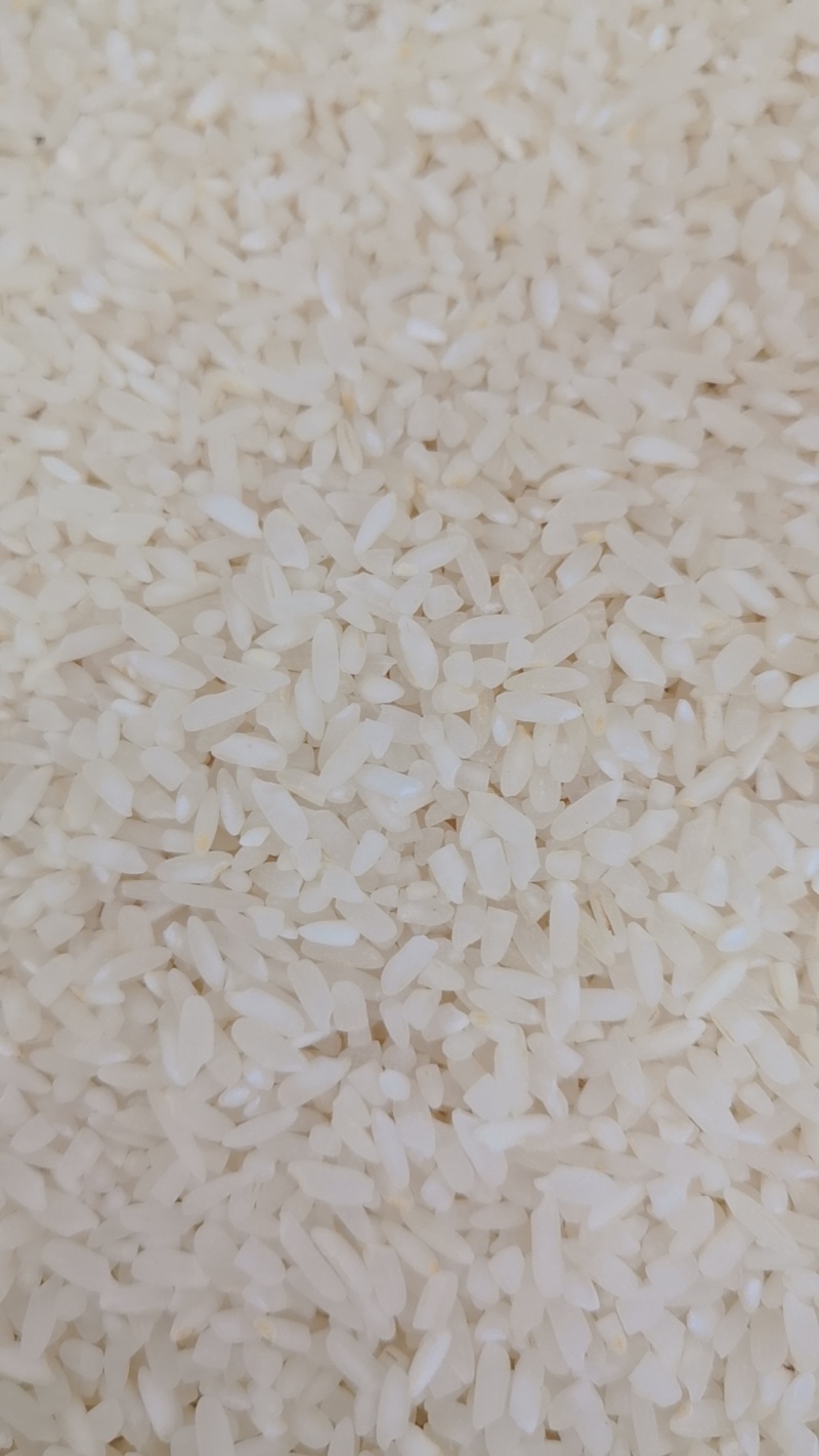 自家种的优质紫米，优质大米