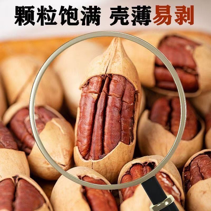 新货碧根果大颗粒带壳奶香味原味支持电商一件代发批量拿货。
