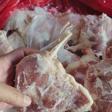 纯断骨鸭腿7吨