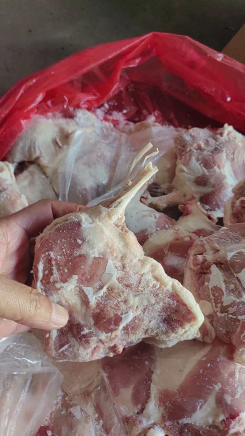 纯断骨鸭腿7吨