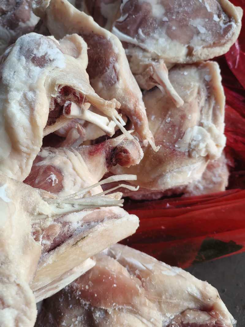 纯断骨鸭腿7吨