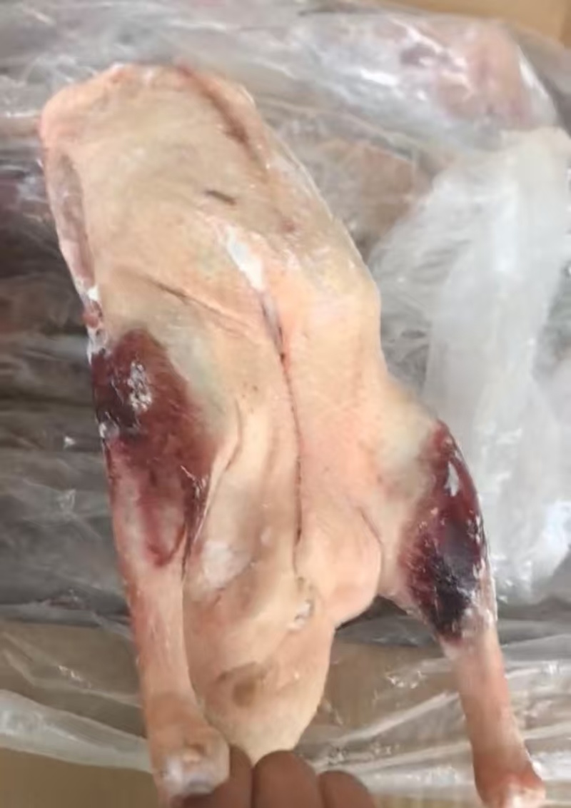 两光鹅