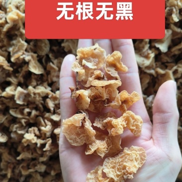 小碗羊肚耳竹毛肚羊肚耳精品