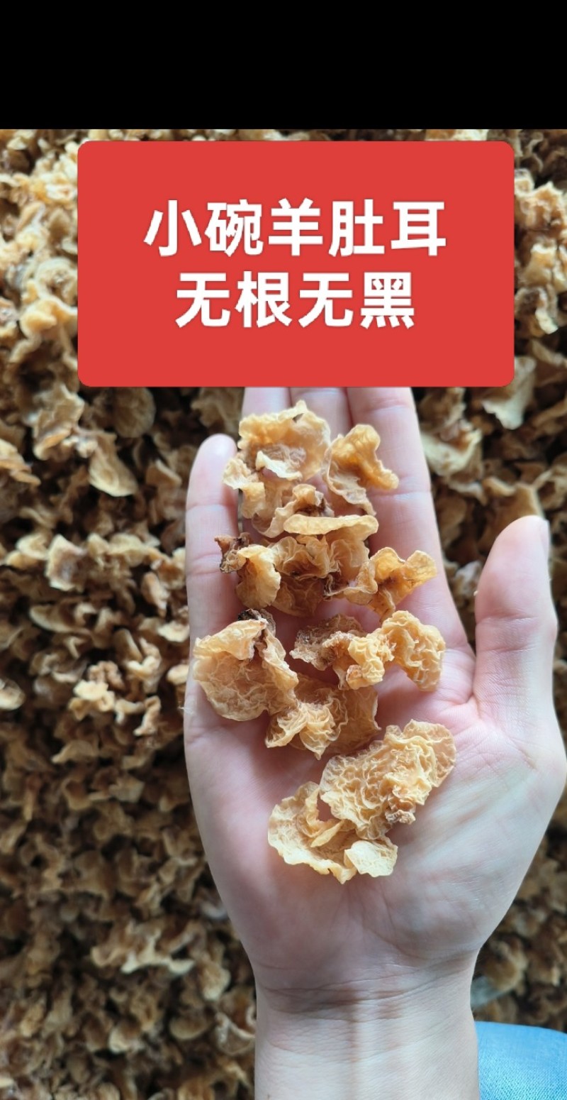 小碗羊肚耳竹毛肚羊肚耳精品