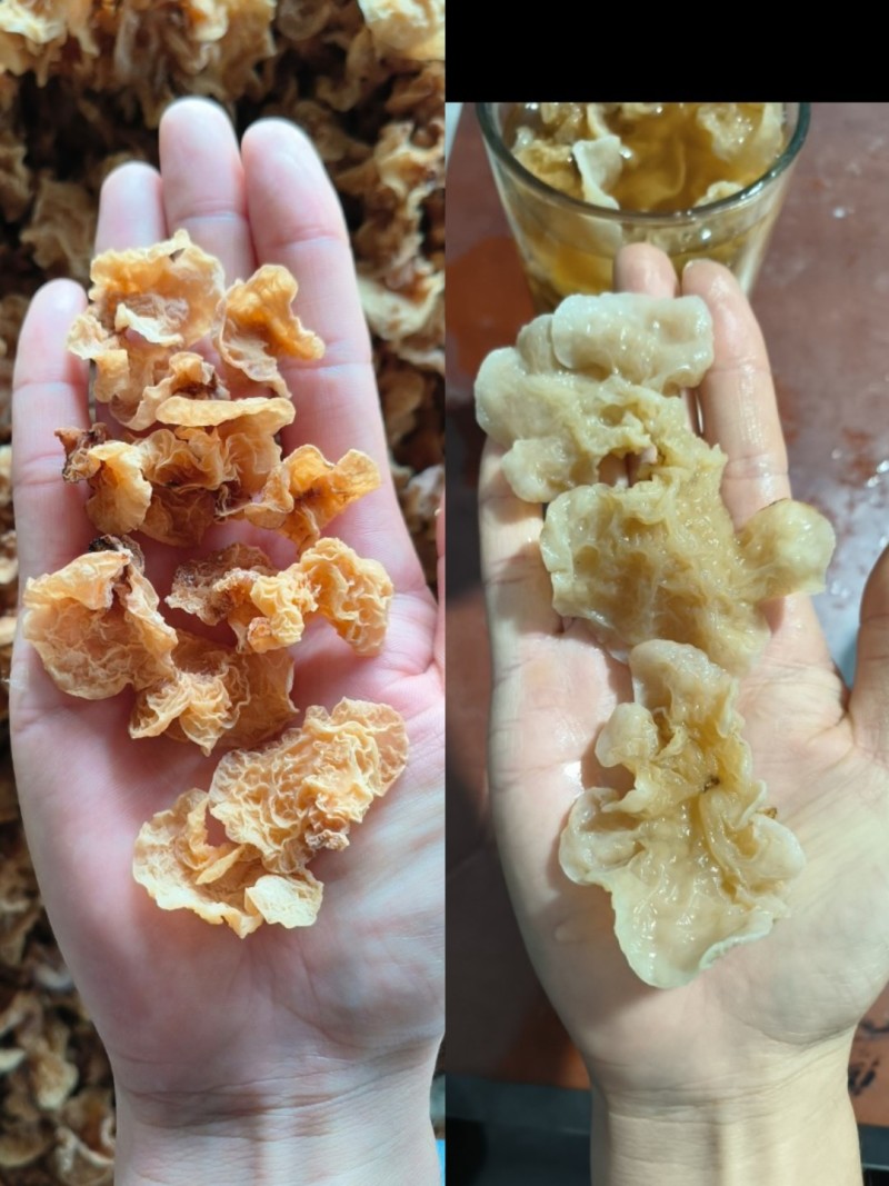 小碗羊肚耳竹毛肚羊肚耳精品