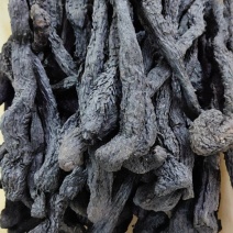 肉苁蓉
