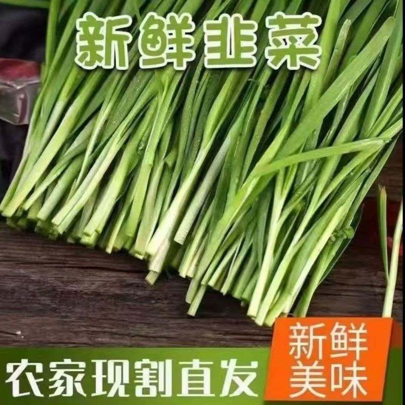 韭菜一件代发对接电商拼多多抖音视频号京