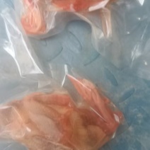 二级鸽子6-7两一万只