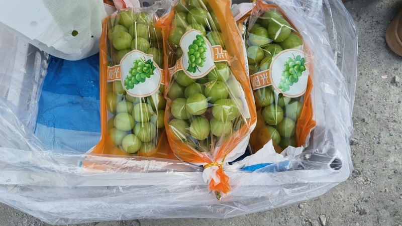 特价出货，量大。