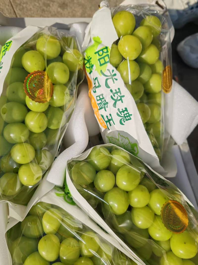 特价出货，量大。