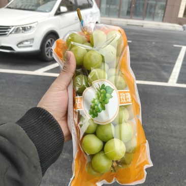 特价出货，量大。