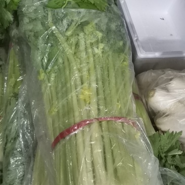 芹菜