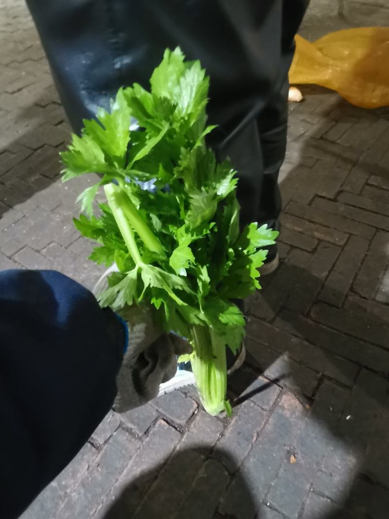 芹菜