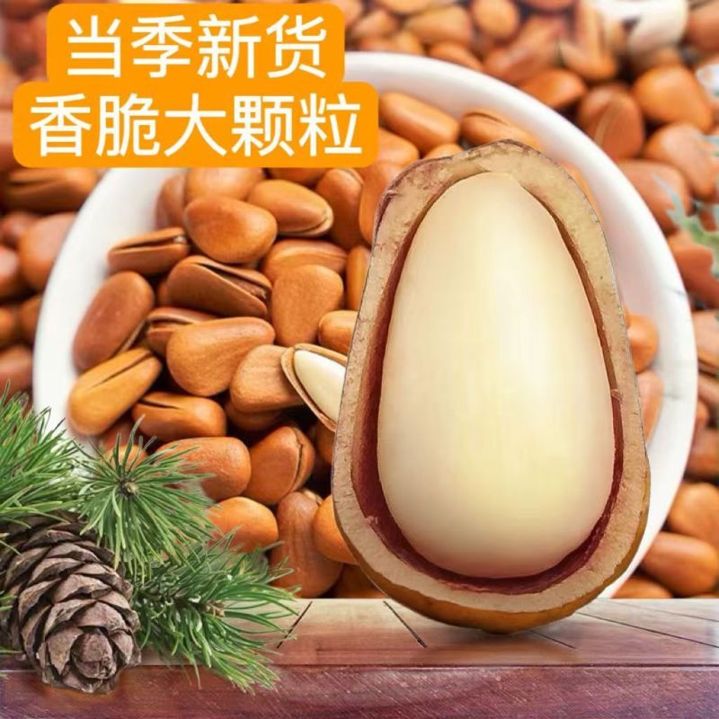 东北松子电商一件代发批量拿货工厂直销