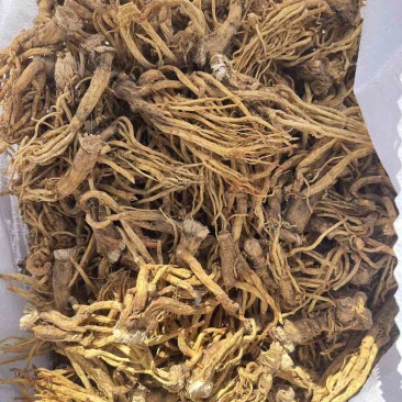 云南秦艽，晒干货