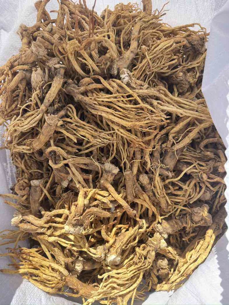 云南秦艽，晒干货