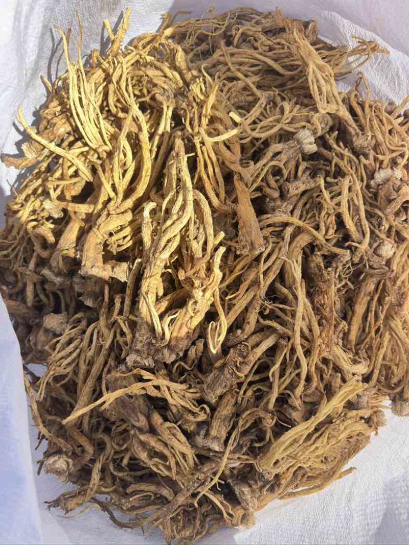 云南秦艽，晒干货