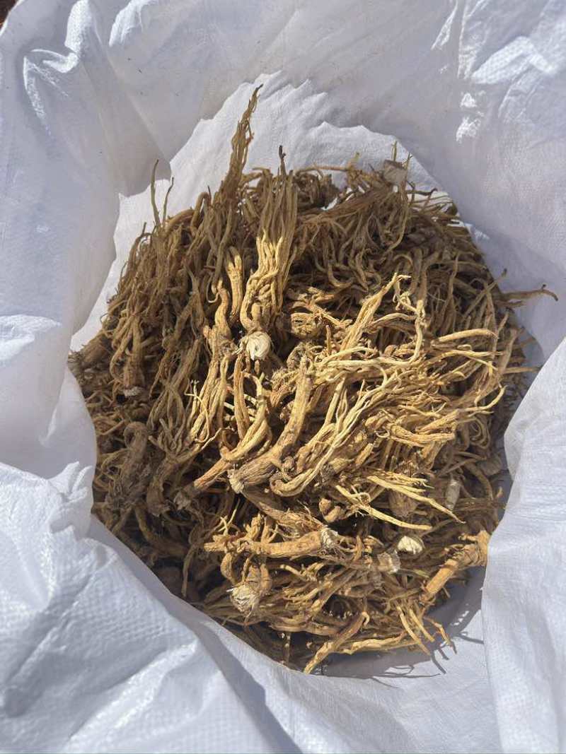 云南秦艽，晒干货