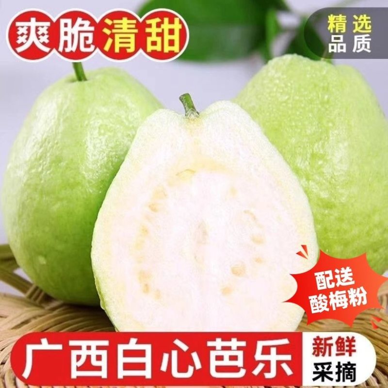 芭乐番石榴