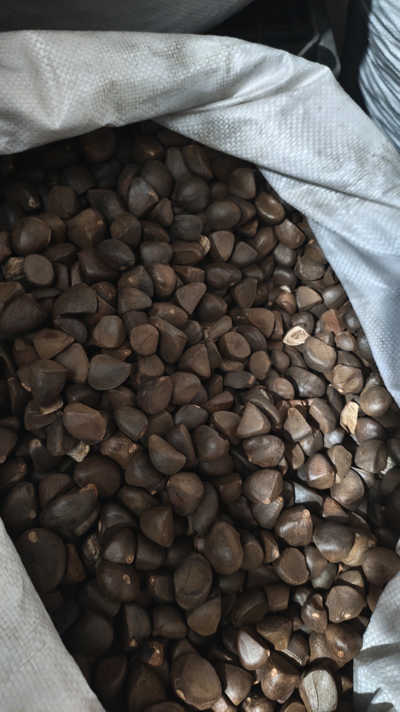 山茶油
